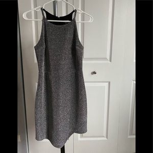 Express Silver Dress